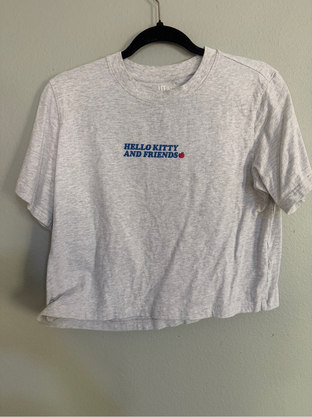 Sanrio Light Gray Hello Kitty & Friends Cropped Tee with Blue Logo